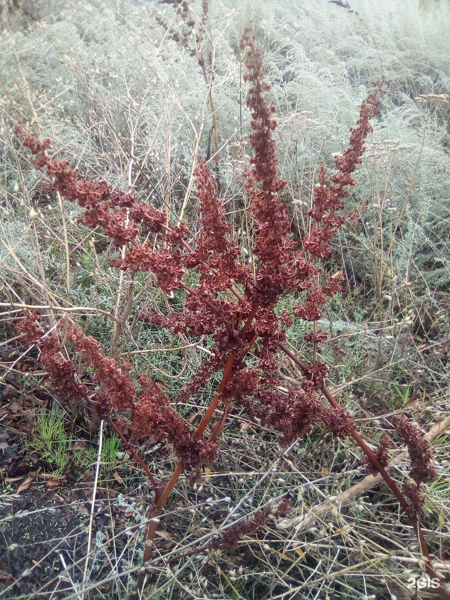 Отзывы на компанию New Flash в Волжском c фото