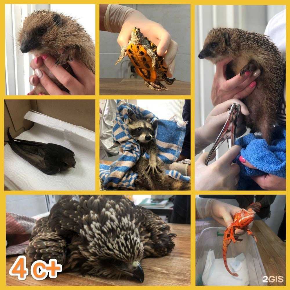 Отзывы на компанию 4 с+ в г. Рязань c фото