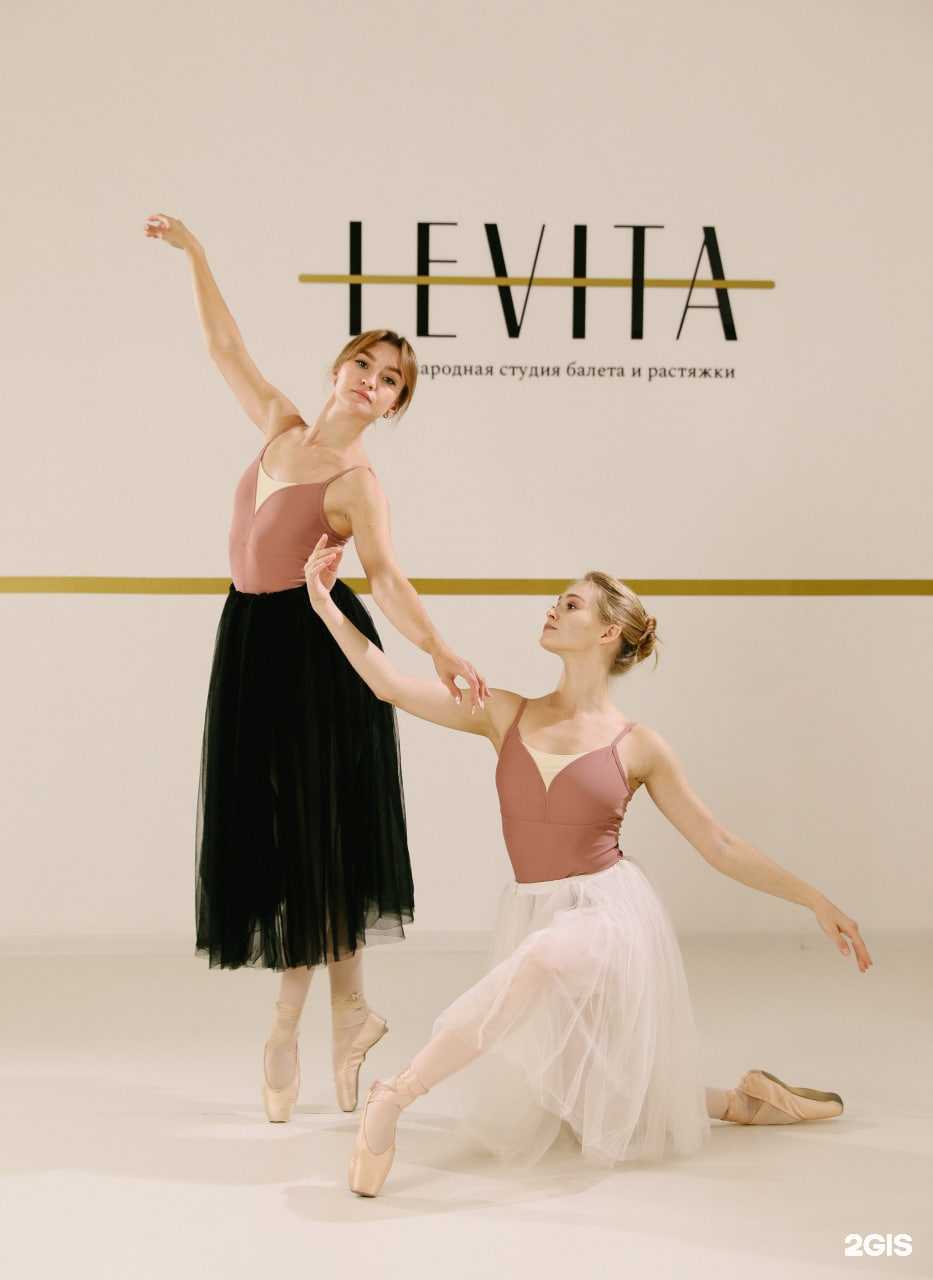 Отзывы на компанию Levita в Кемерове c фото