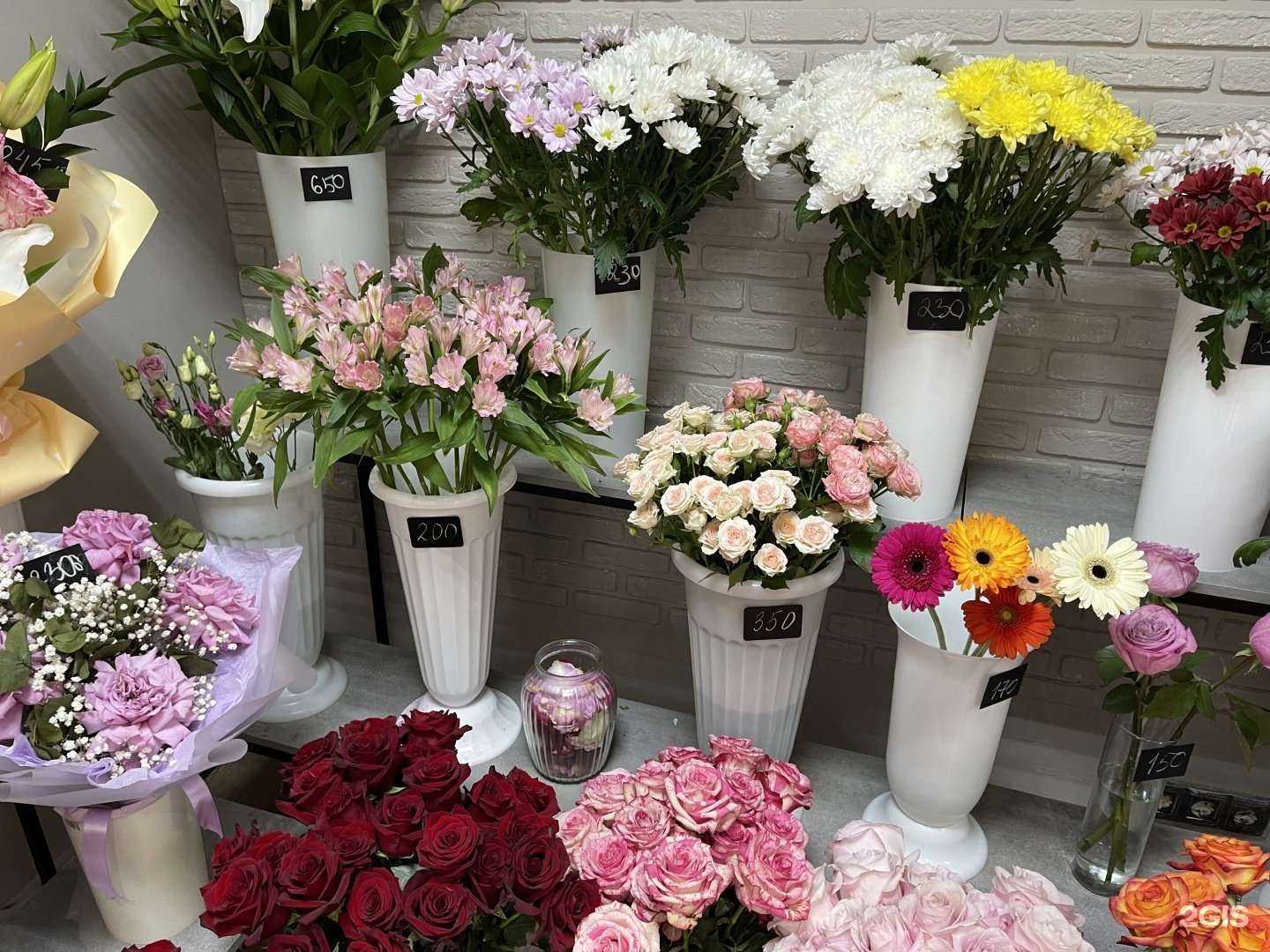 Отзывы на компанию Ирис в Ханты-Мансийске c фото