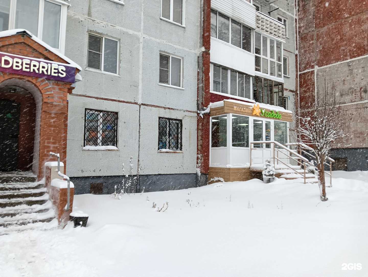 Отзывы на компанию Pisari в Прокопьевске c фото