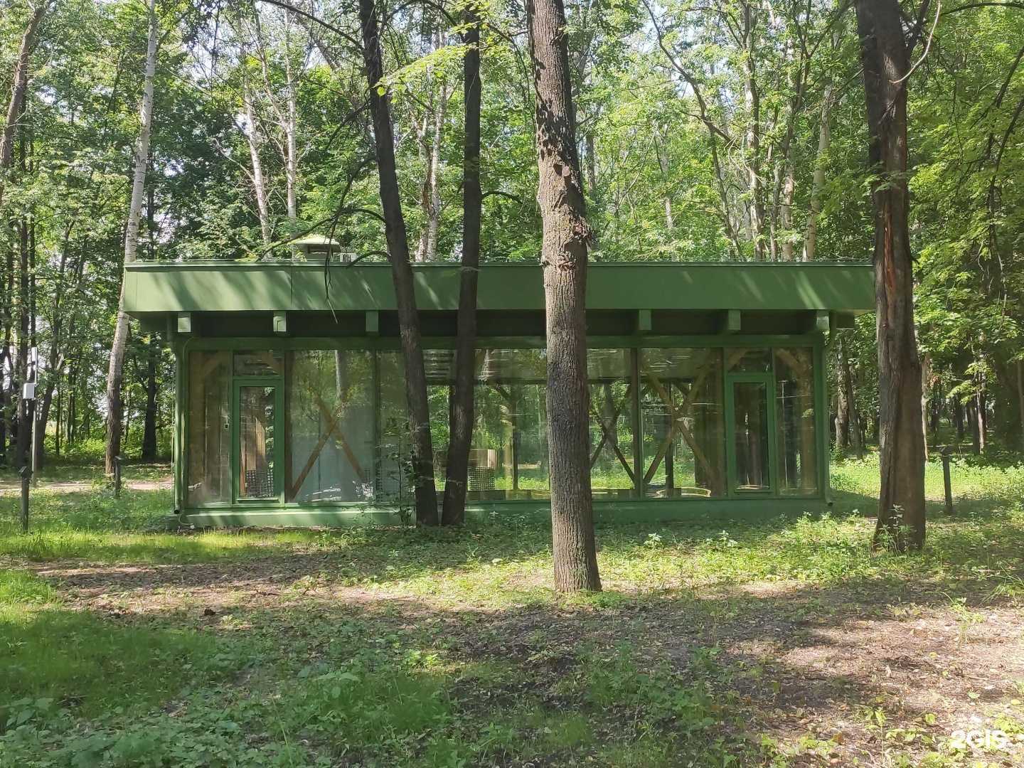 Отзывы на компанию Молодой Нижний в Нижнем Новгороде c фото - фотография 2 из 2