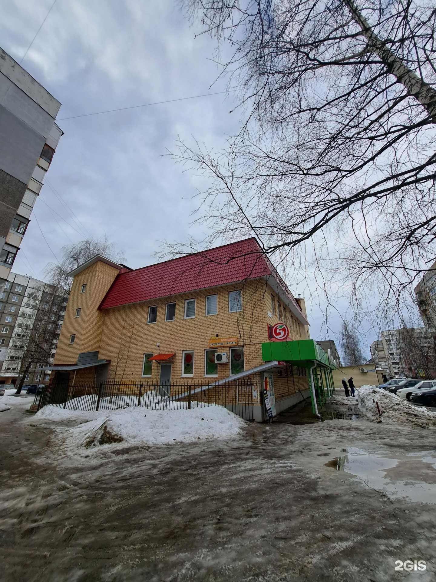 Отзывы на компанию Каникулы с Киви в Ярославле c фото