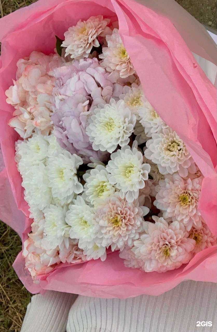 Отзывы на компанию Lala Flowers в Махачкале c фото