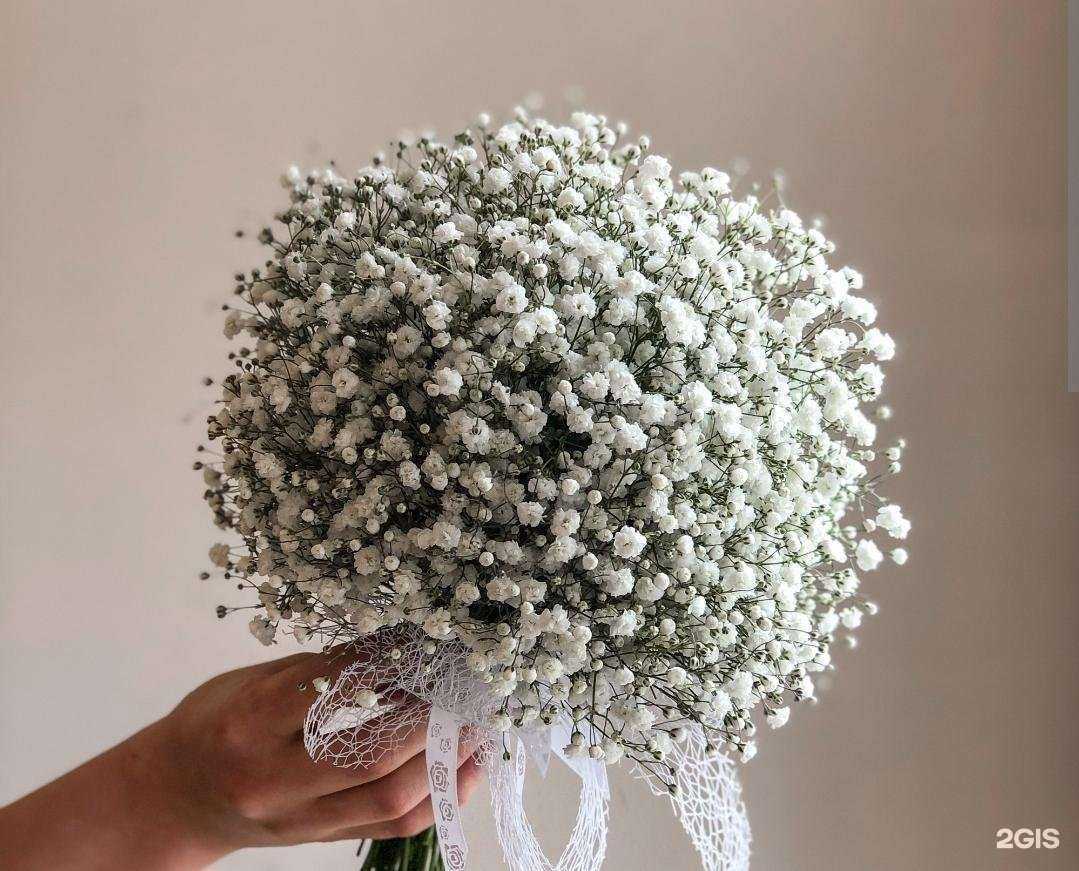 Отзывы на компанию Первый Цветочный в Сургуте c фото