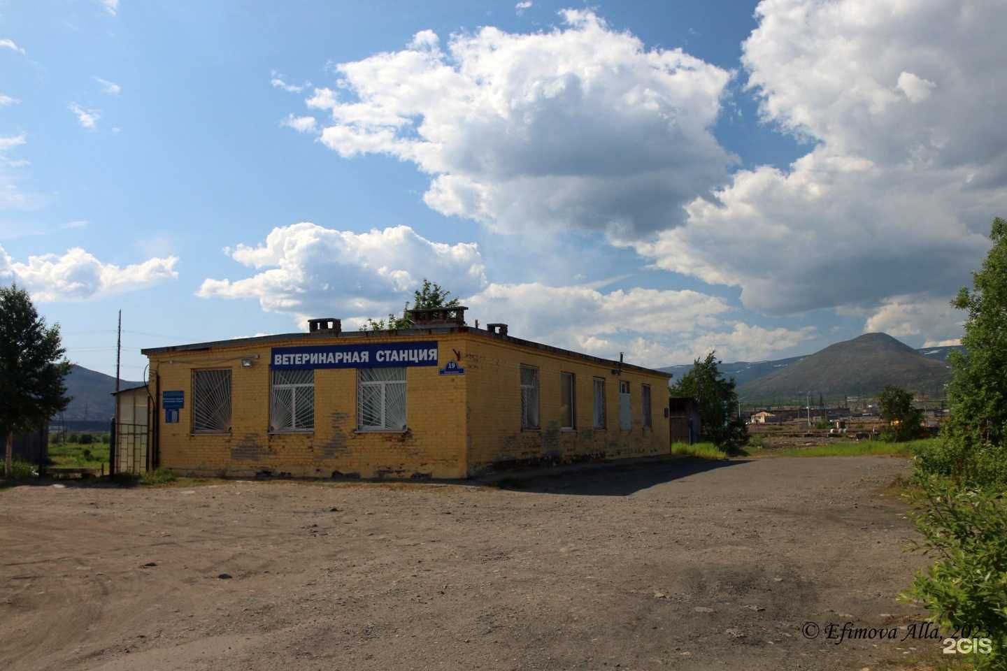 Отзывы на компанию Мончегорская городская ветеринарная станция в Мончегорске c фото - фотография 2 из 2