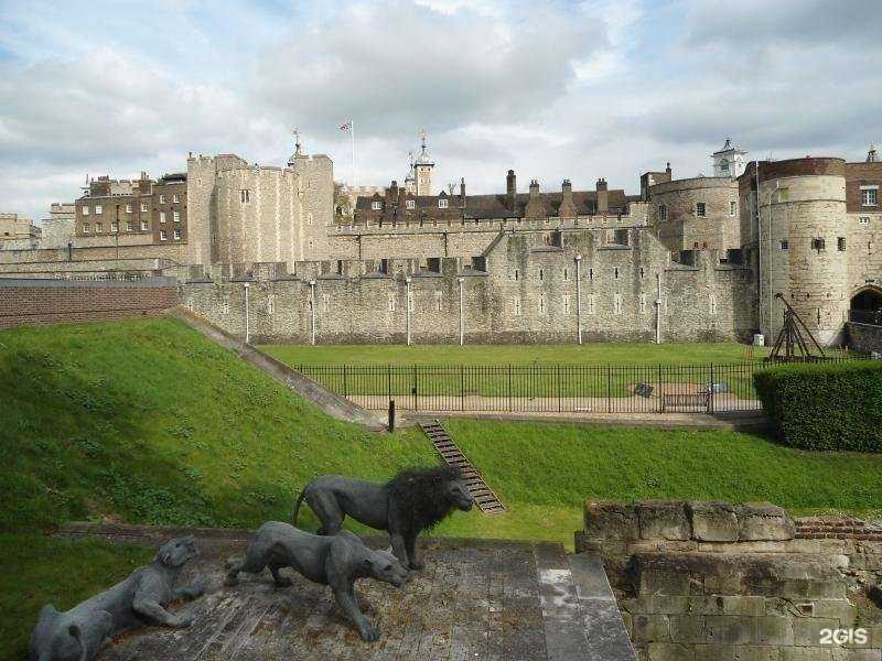 Отзывы на компанию Юность в Владимире c фото