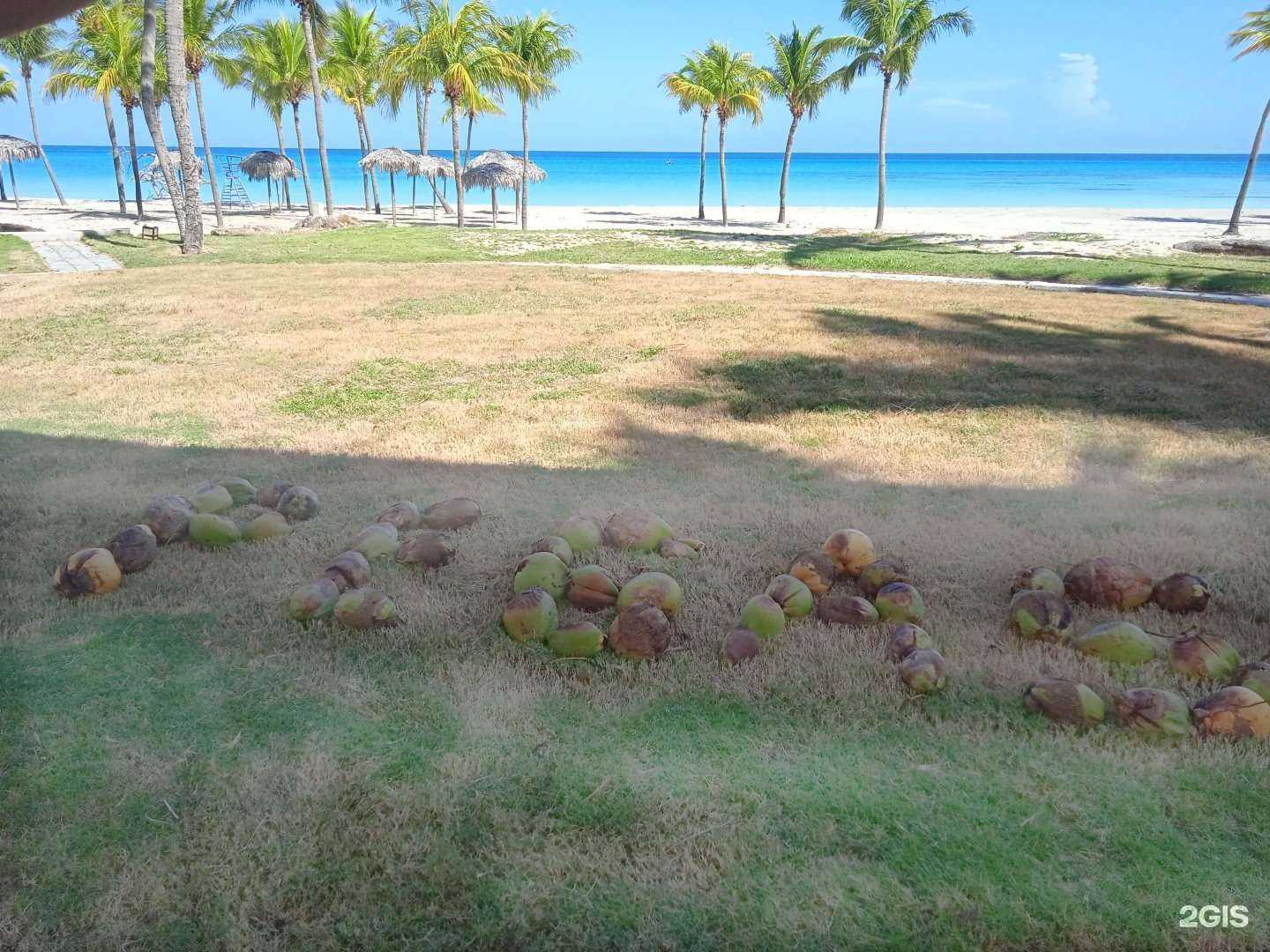 Отзывы на компанию Sunmar в Копейске c фото