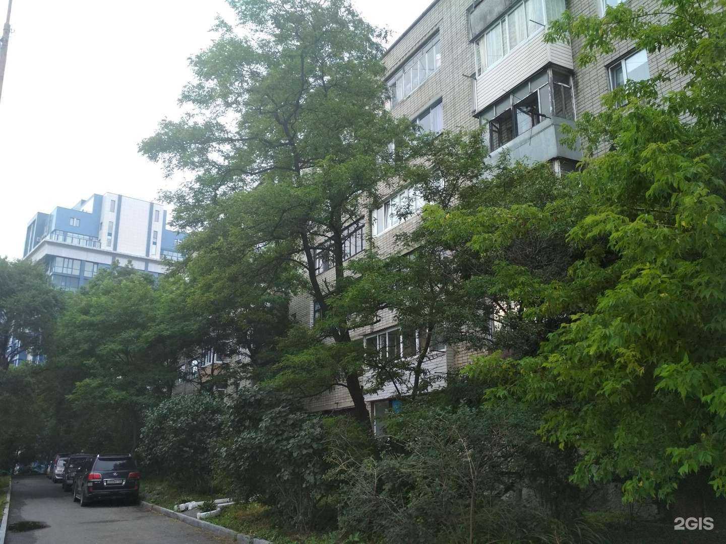 Отзывы на компанию Радость в Владивостоке c фото - фотография 2 из 2