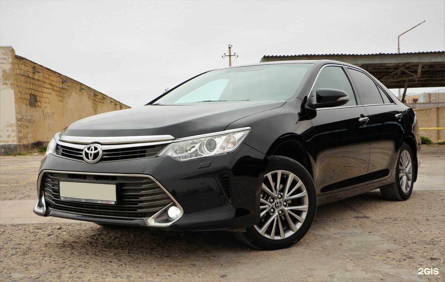 Отзывы на компанию ПрокатАвто в Ростове-на-Дону c фото