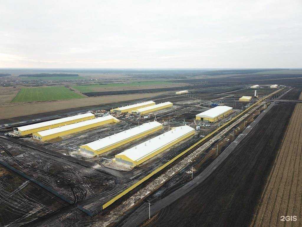 Отзывы на компанию Студия промышленного проектирования в Воронеже c фото