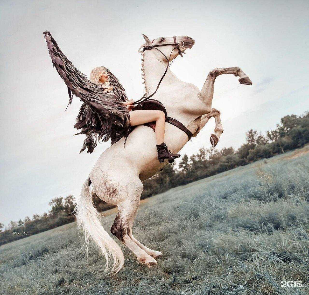 Отзывы на компанию Золотая грива в Красноярске c фото