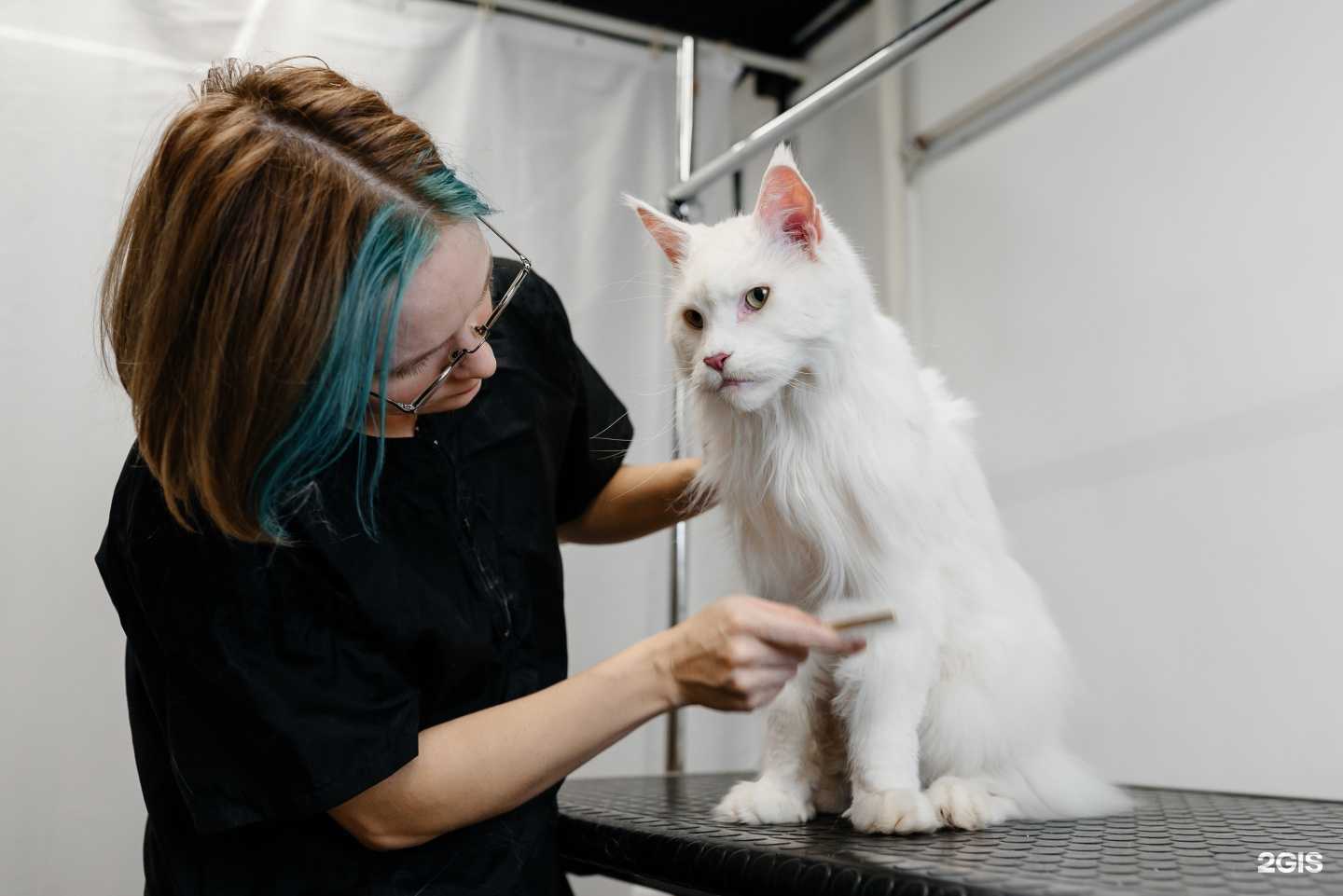 Отзывы на компанию Хранители в г. Киров c фото