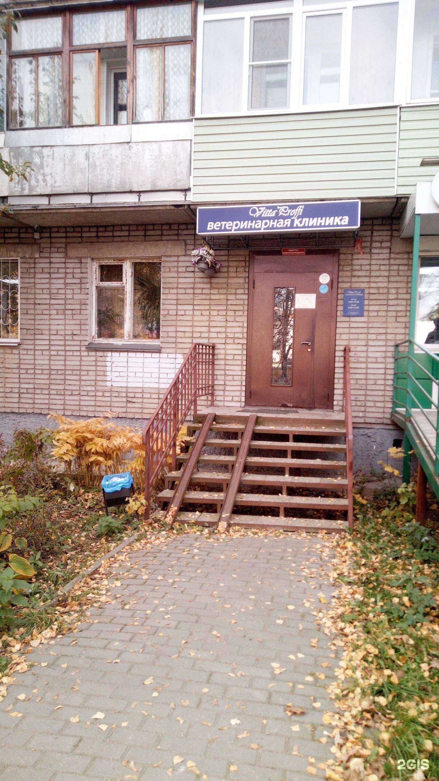 Отзывы на компанию Vitta Proffi в Владимире c фото