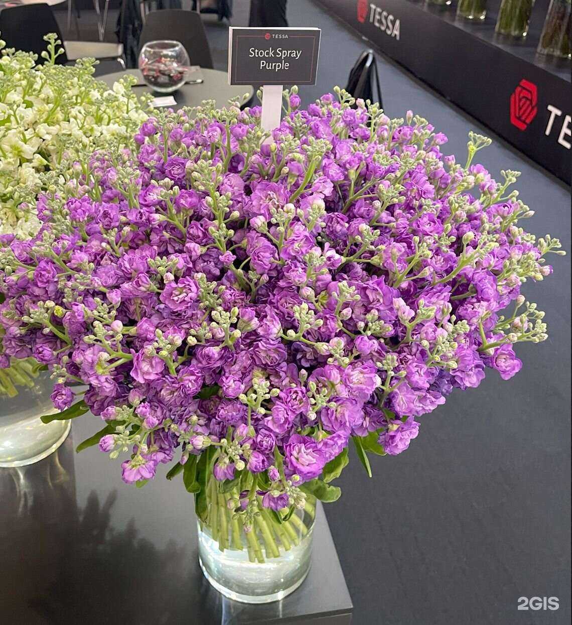 Отзывы на компанию ArtFlowers в г. Коммунарка c фото