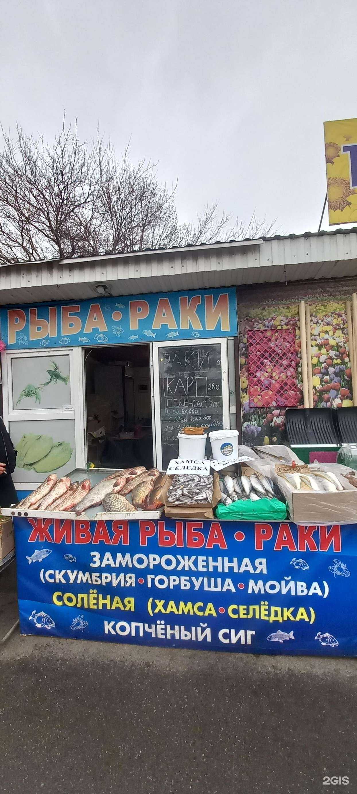 Отзывы на компанию Рыбный магазин в г. Краснодар c фото