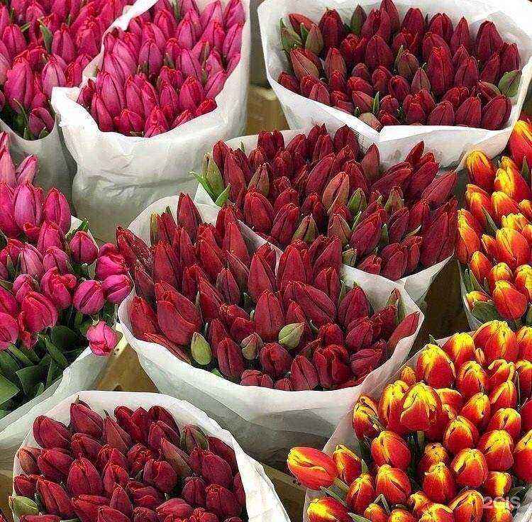 Отзывы на компанию Лаванда в г. Волгодонск c фото