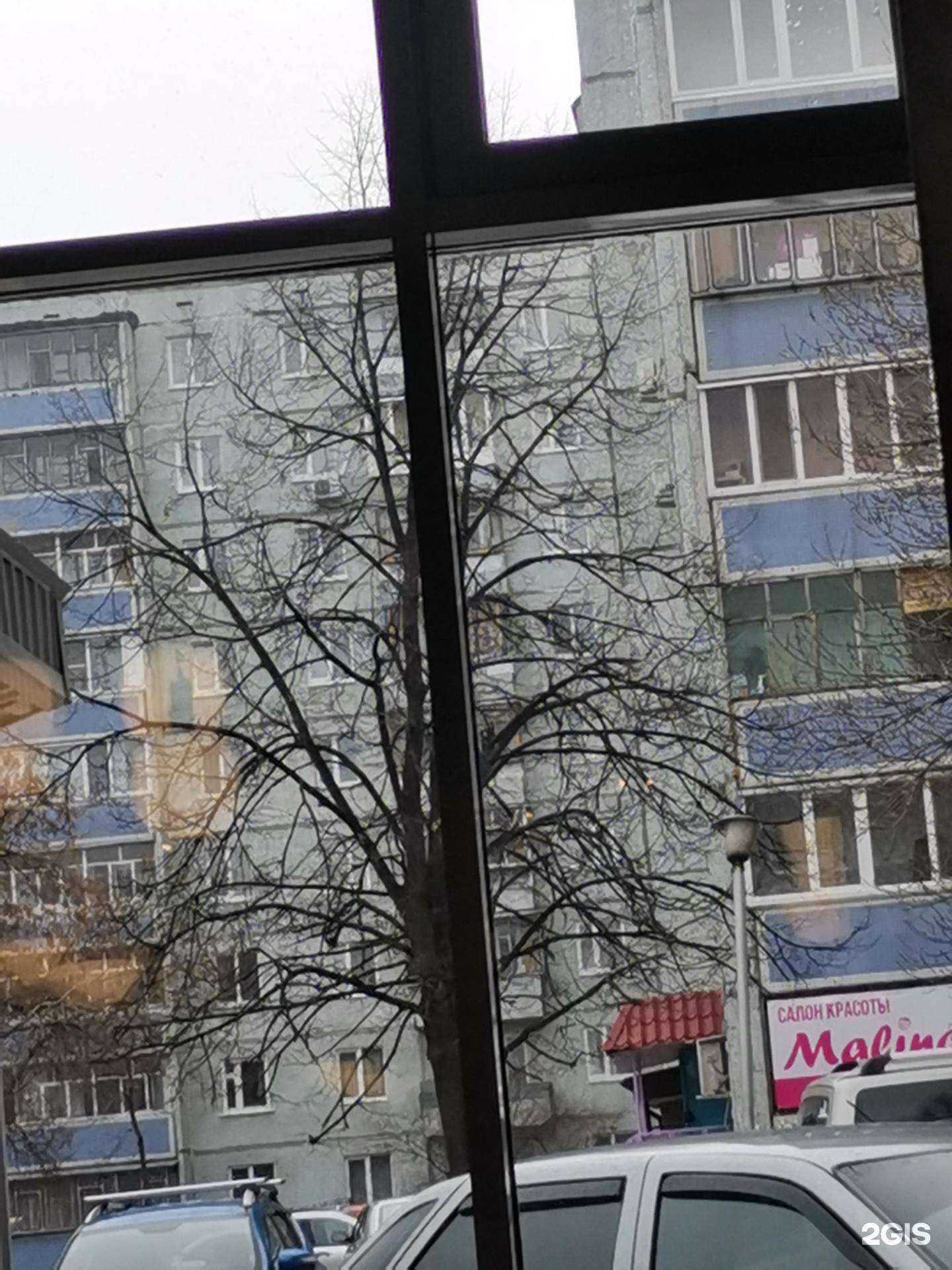 Отзывы на компанию Малина в Ульяновске c фото - фотография 2 из 2