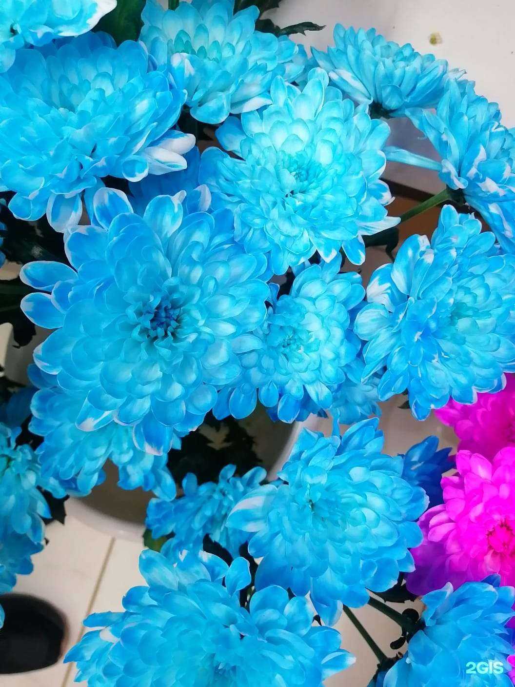 Отзывы на компанию Цветы на Районе в г. Екатеринбург c фото