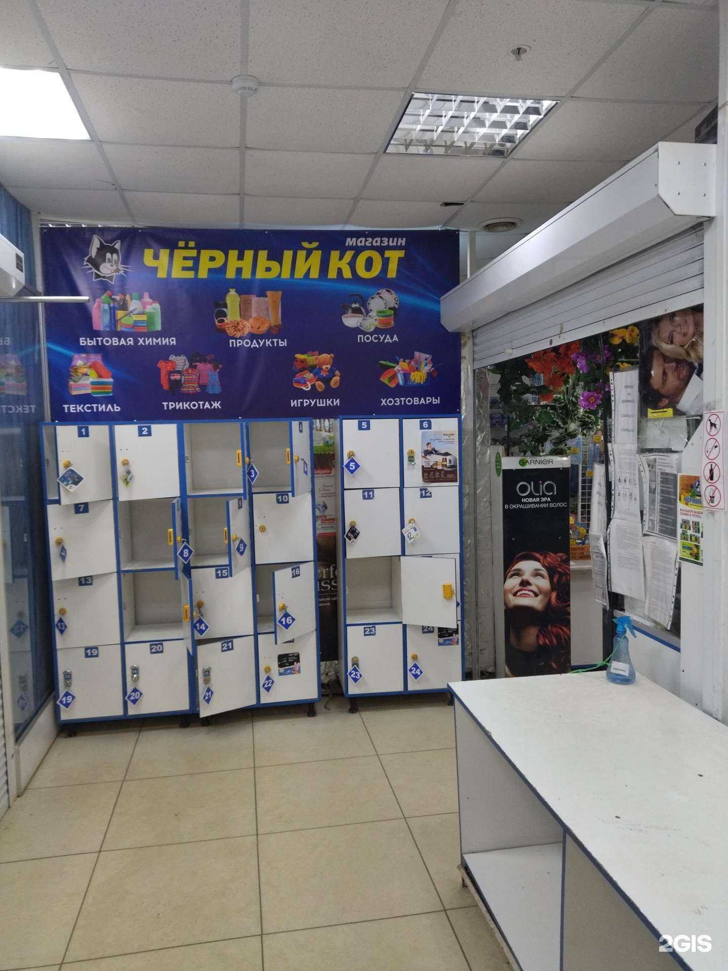 Отзывы на компанию Черный кот в г. Вологда c фото