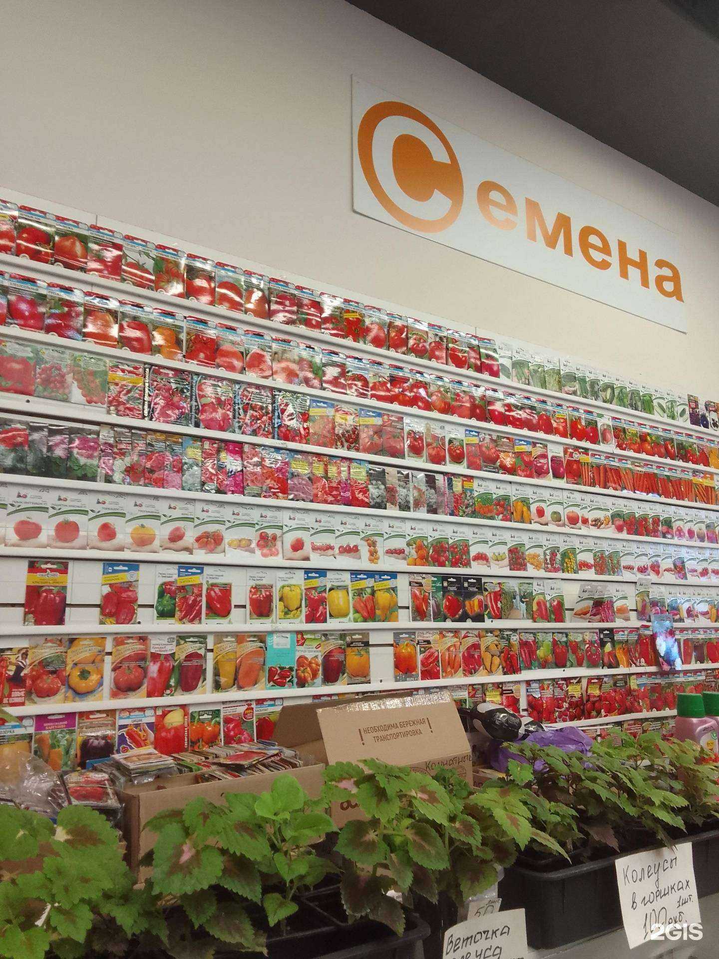 Отзывы на компанию Магазин по продаже семян в г. Стерлитамак c фото