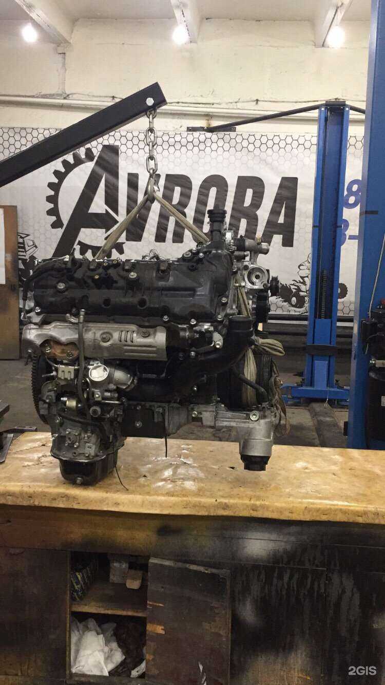 Отзывы на компанию Аврора в г. Абакан c фото