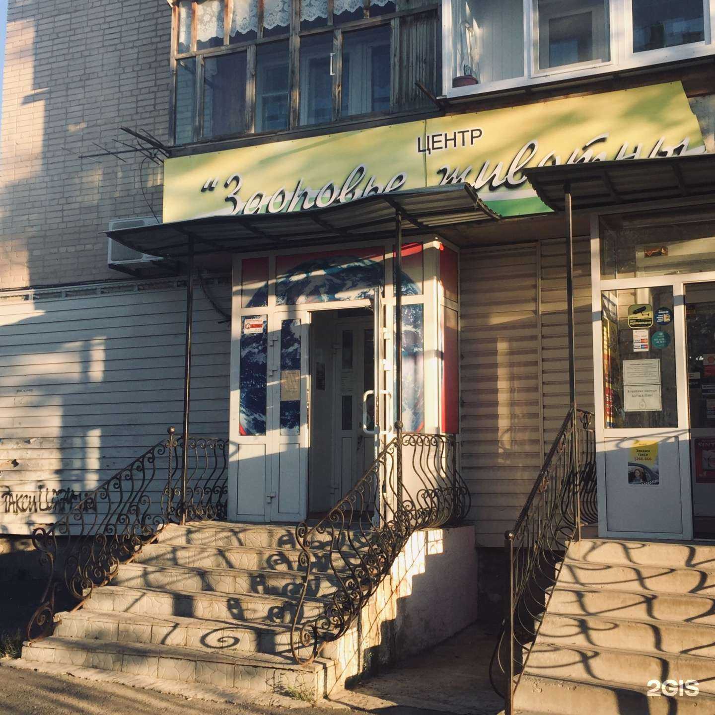 Отзывы на компанию Здоровье животных в Миассе c фото