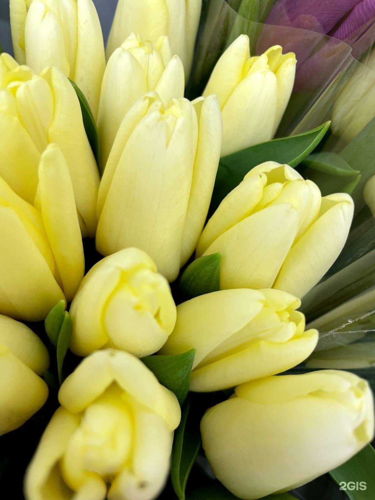 Отзывы на компанию ADORA в г. Кемерово c фото