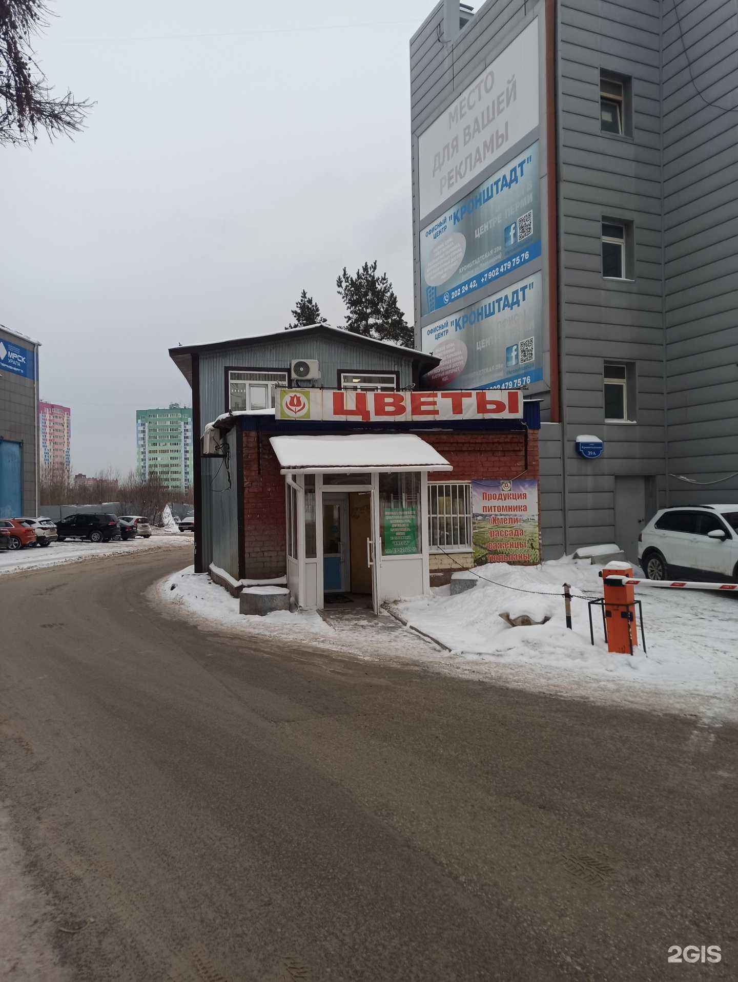 Отзывы на компанию Цветы Прикамья в Перми c фото