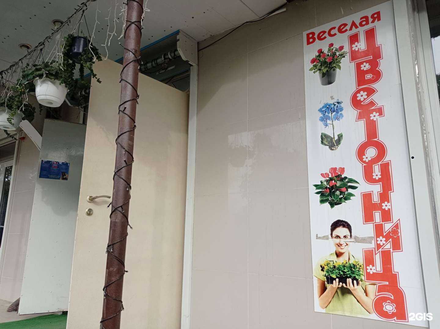 Отзывы на компанию Цветочница в Нальчике c фото