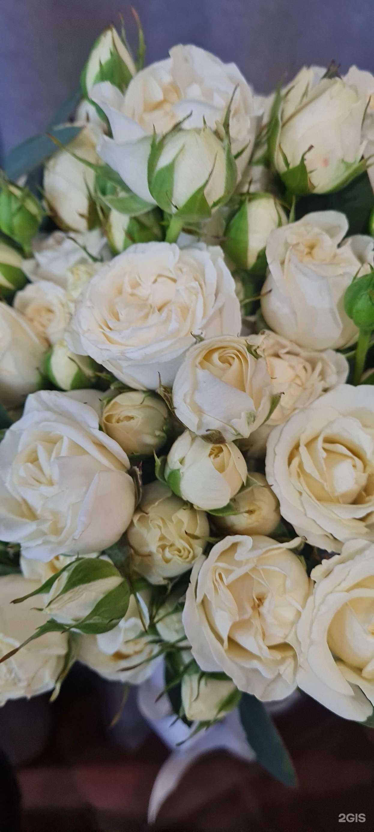 Отзывы на компанию Цветочный магазин в г. Белореченск c фото