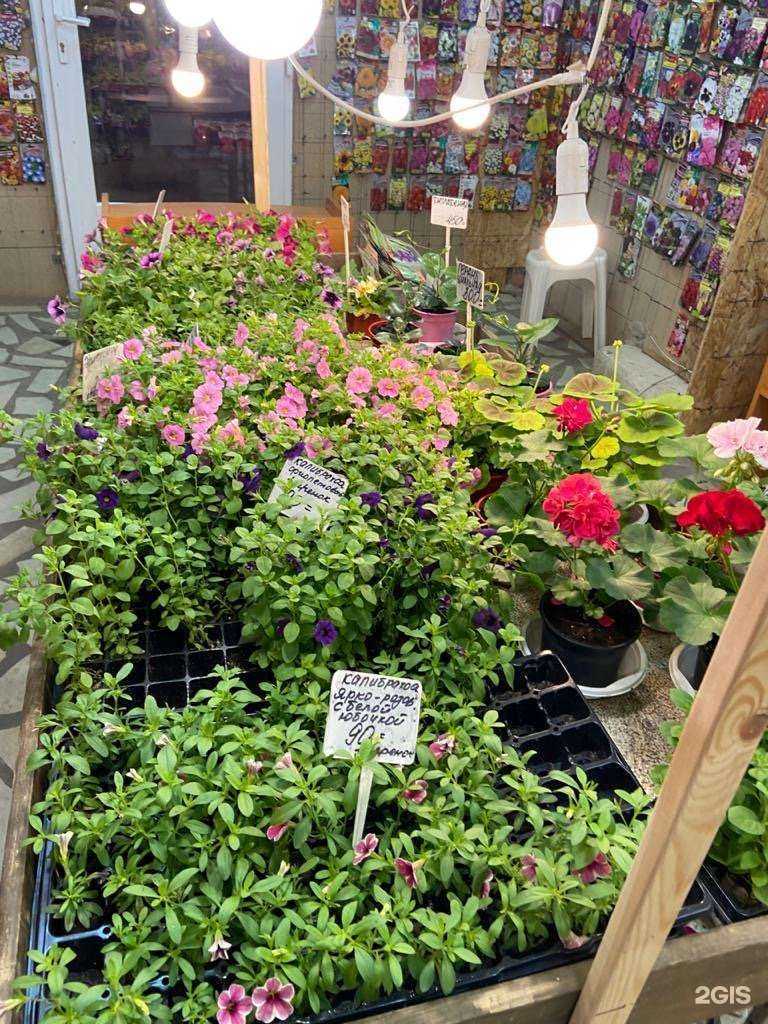 Отзывы на компанию Дом и сад в г. Петрозаводск c фото