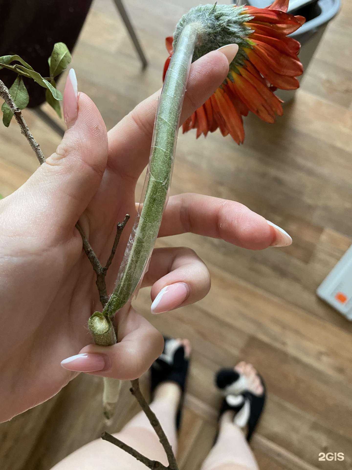 Отзывы на компанию Цветочный магазин в г. Новосибирск c фото