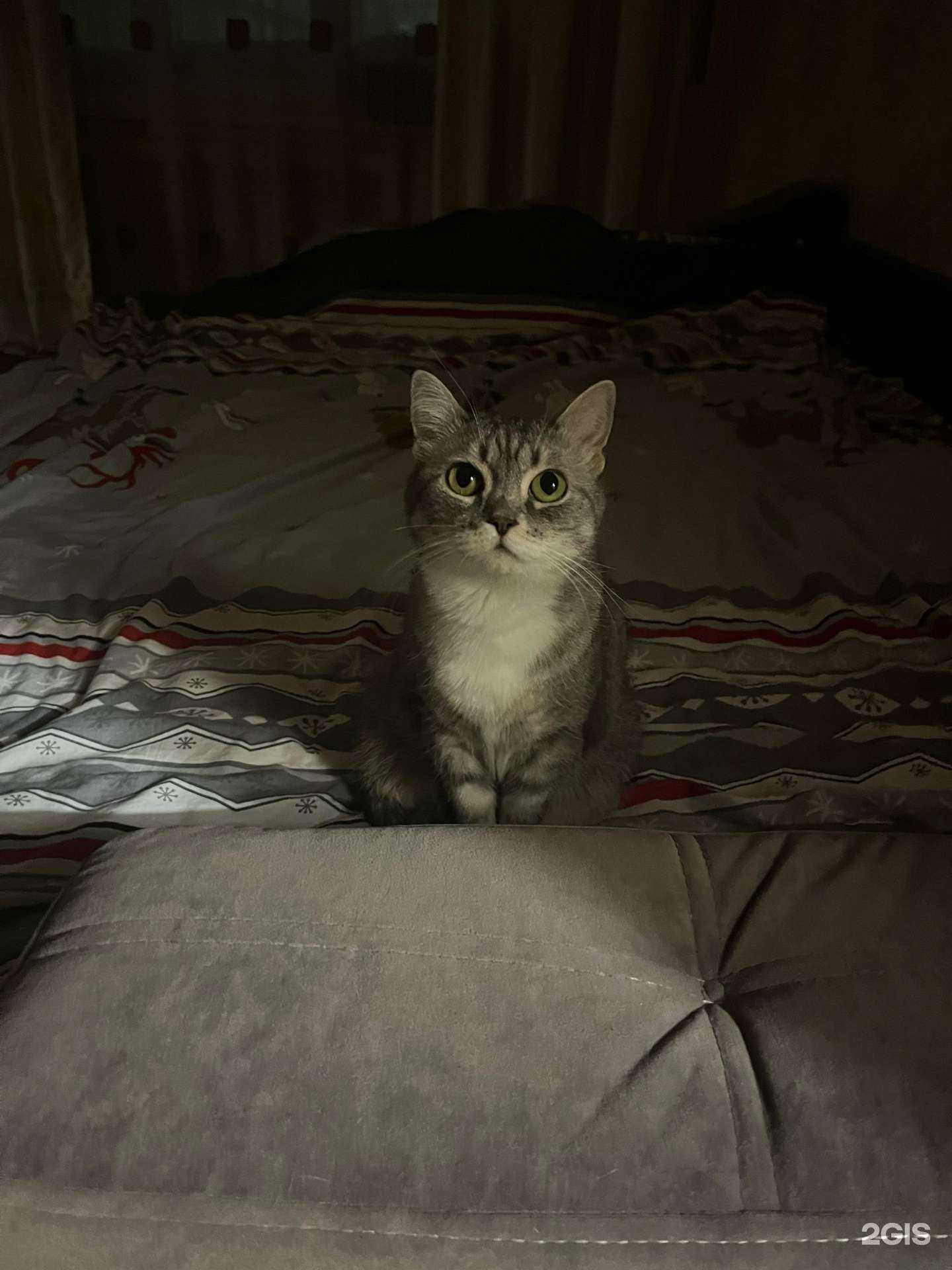 Отзывы на компанию Юные картингисты в Норильске c фото