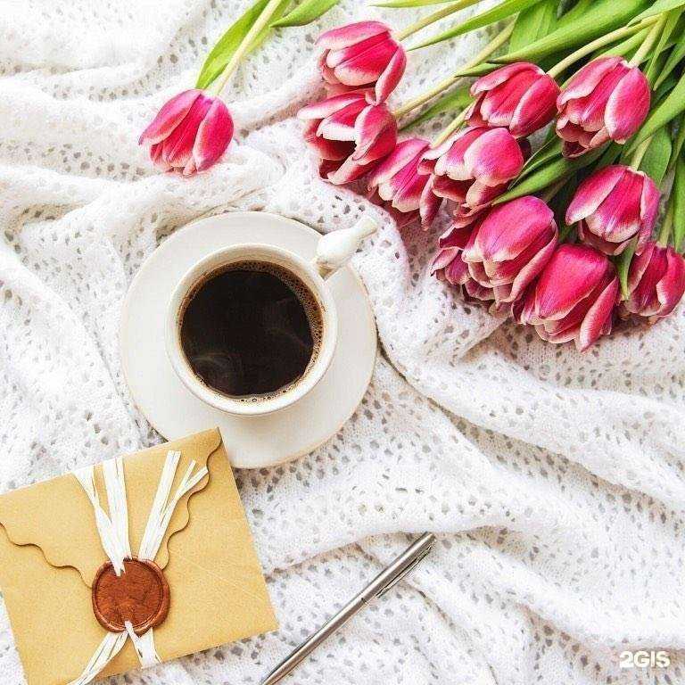 Отзывы на компанию Диана в г. Киров c фото