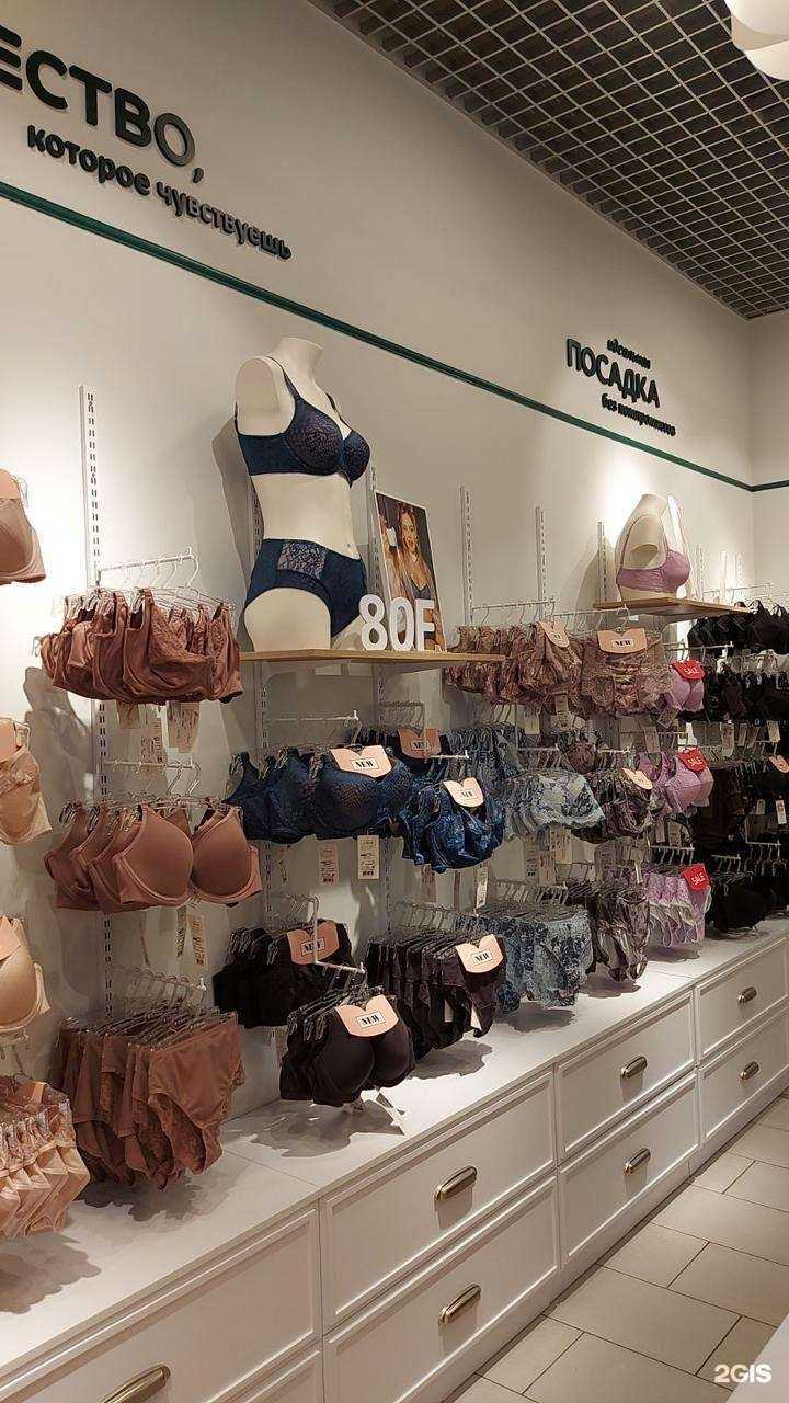 Отзывы на компанию Tribuna в Петрозаводске c фото