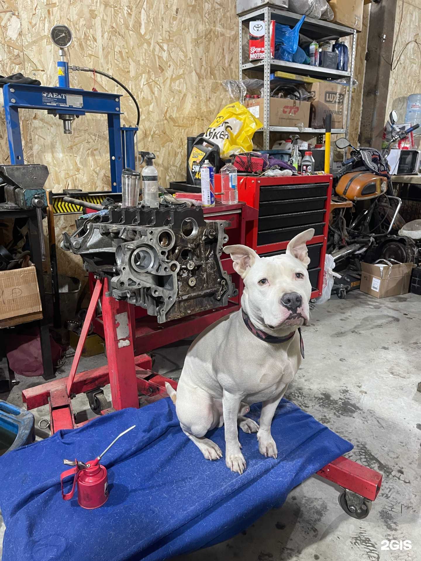 Отзывы на компанию Север-сервис в Новосибирске c фото