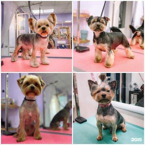 Отзывы на компанию Барселона в Магнитогорске c фото