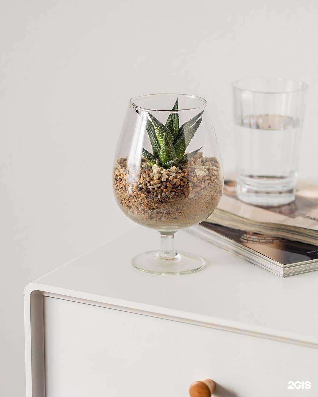 Отзывы на компанию Цветы каждый день в Отрадном c фото