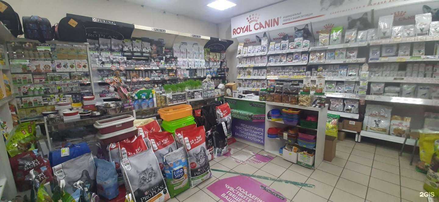 Отзывы на компанию Кот и Пёс в Курске c фото