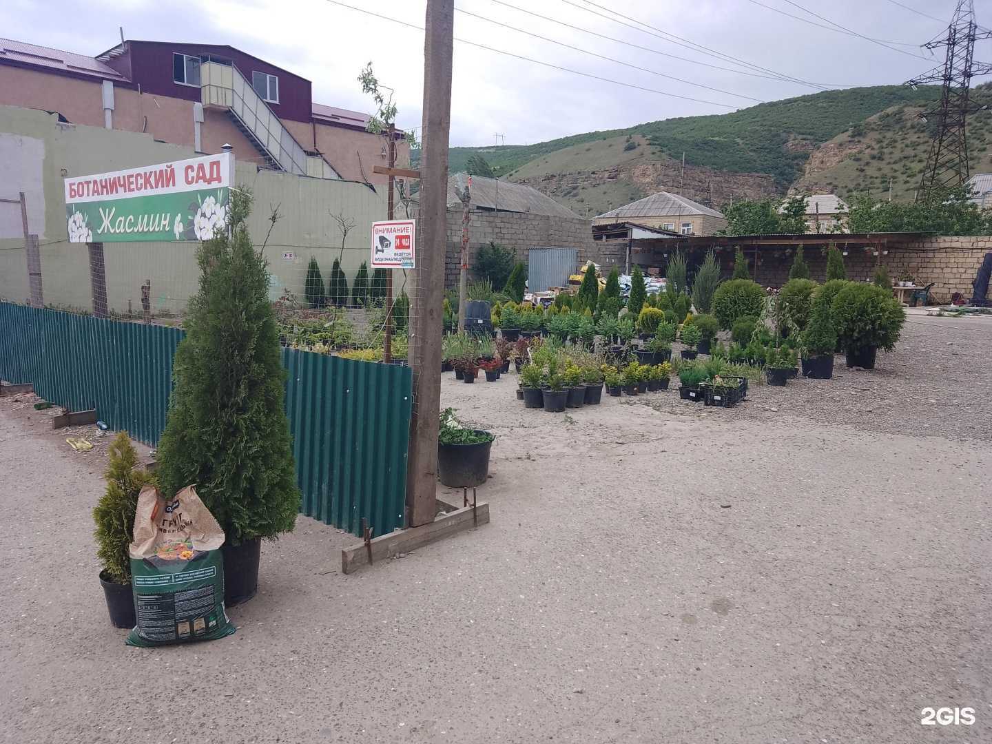 Отзывы на компанию Жасмин в Дербенте c фото