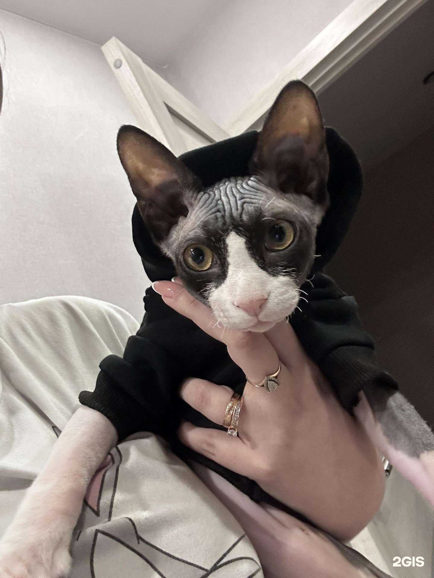 Отзывы на компанию Виаприм в Новосибирске c фото