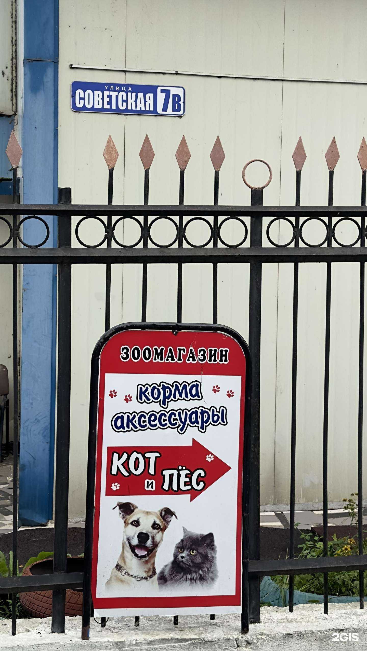 Отзывы на компанию Кот и пёс в Находке c фото