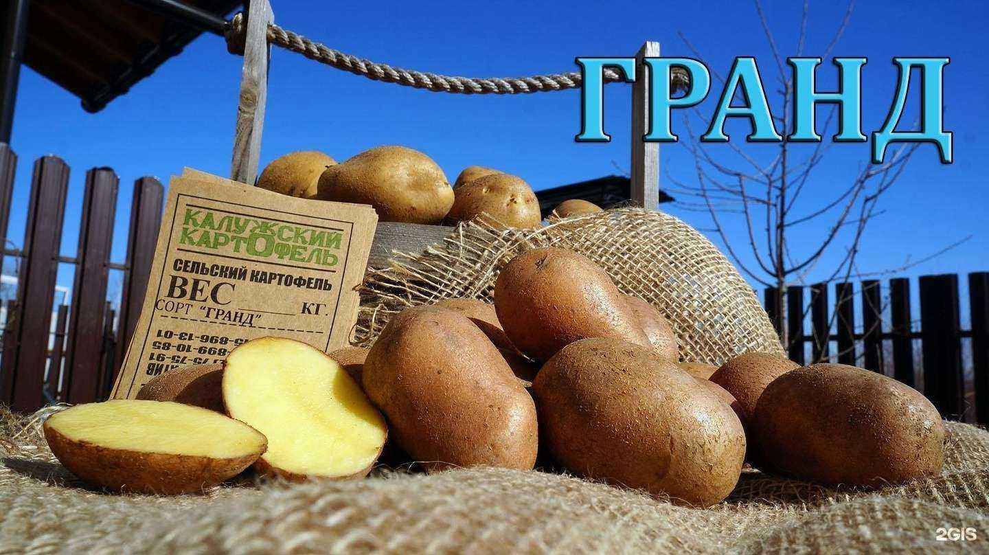 Отзывы на компанию Калужский картофель в Калуге c фото