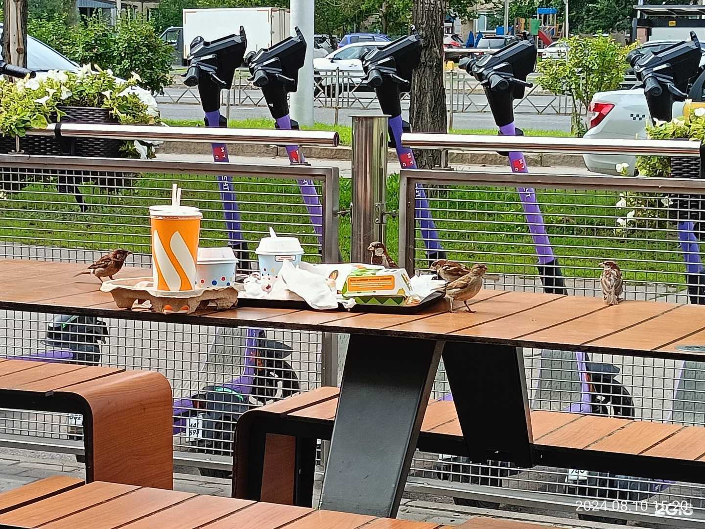 Отзывы на компанию Вкусно — и точка в г. Уфа c фото