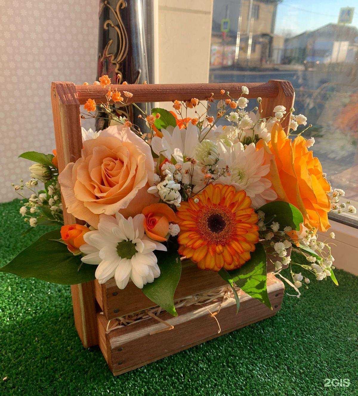 Отзывы на компанию Эдельвейс в Астрахани c фото