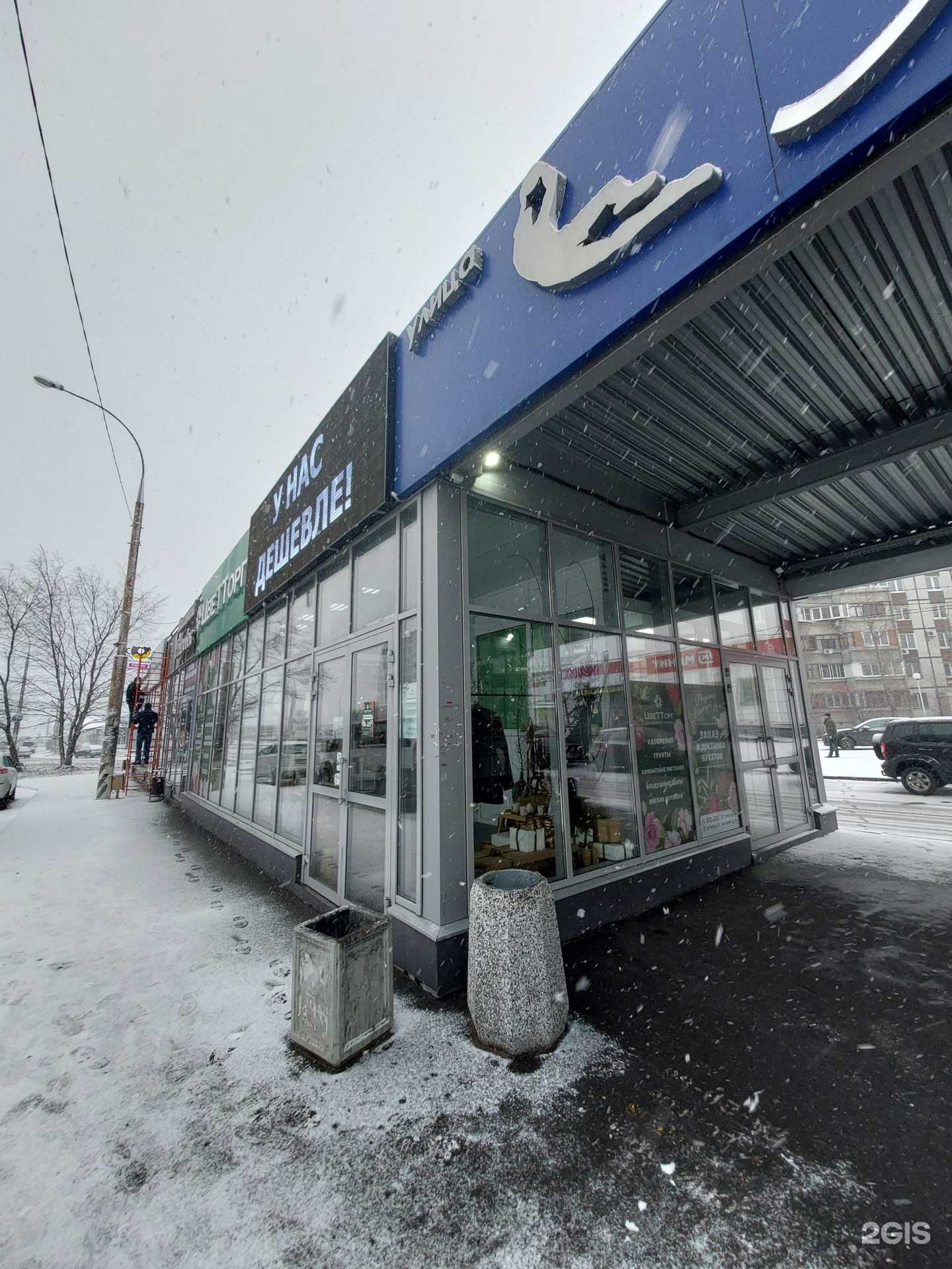 Отзывы на компанию Цветторг в Тольятти c фото - фотография 2 из 2