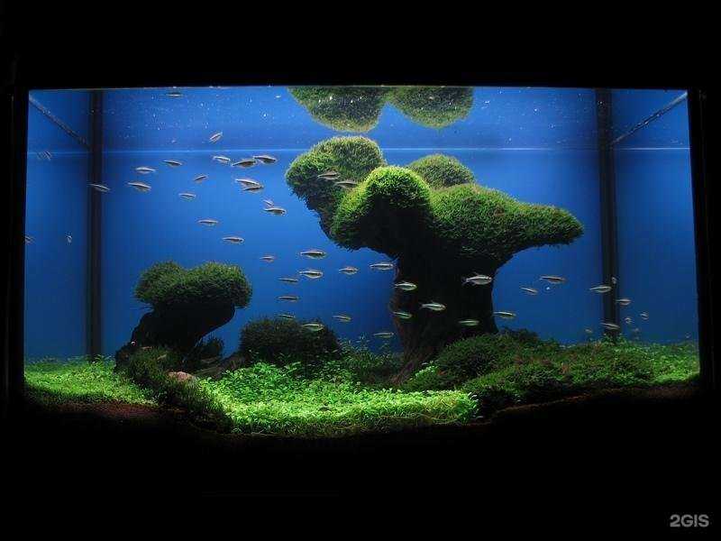 Отзывы на компанию Аквариф в Рязани c фото