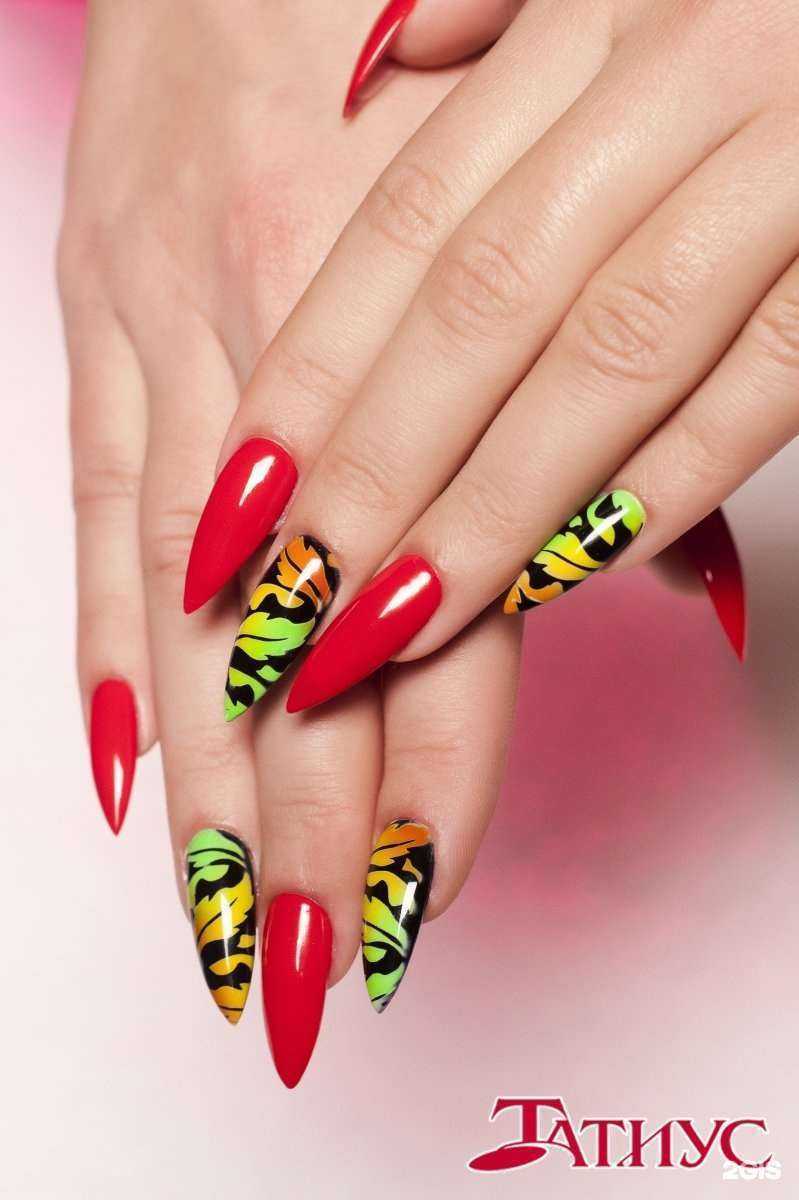 Отзывы на компанию Татиус в Твери c фото