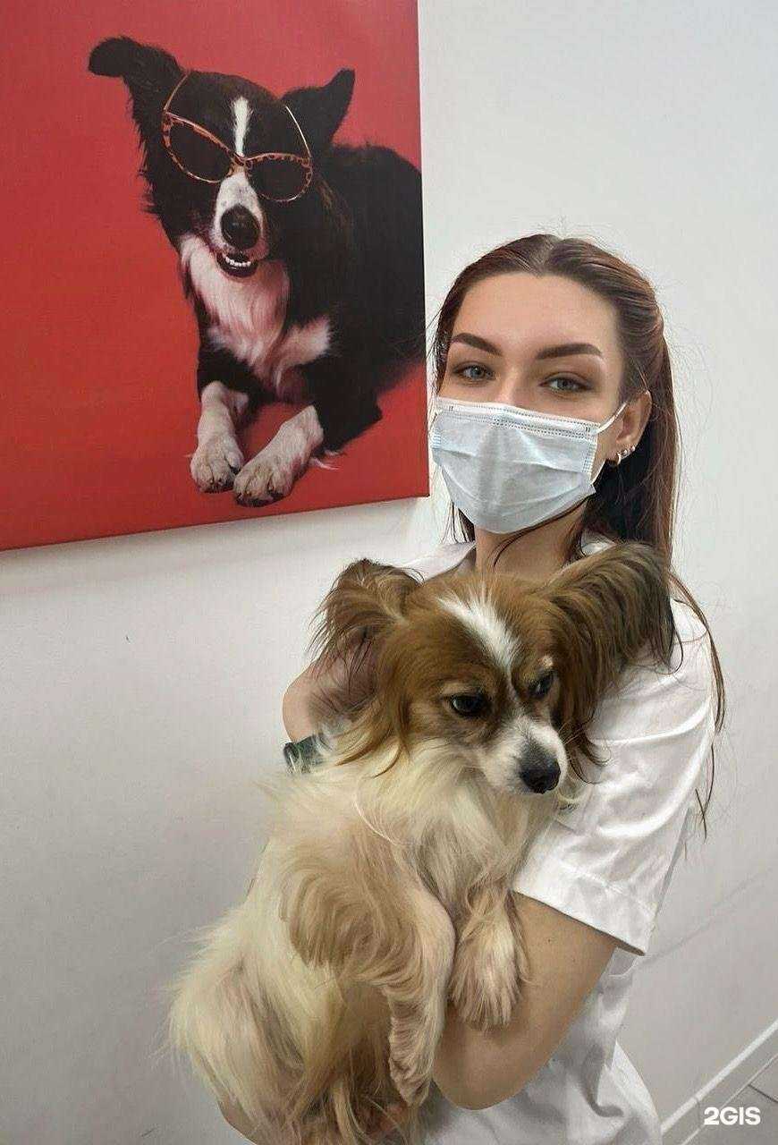 Отзывы на компанию 10-я жизнь в Раменском c фото